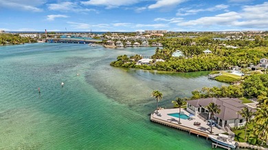 Jupiter's iconic *Home on the Point*, walk out sandbar access - photo 34