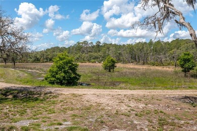 Escape to Nature in Blue Jordan Forest ??

Located in the - photo 35