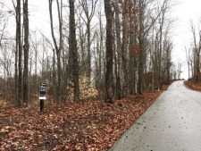 Welcome to Rock Harbor, on Norris Lake! - photo 14