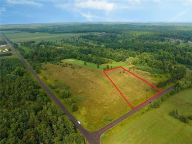 Long Lake - Washburn County Acreage Sale Pending in Sarona Wisconsin