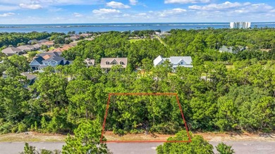 Build your dream home on Lot 54 in the highly sought-after - photo 6