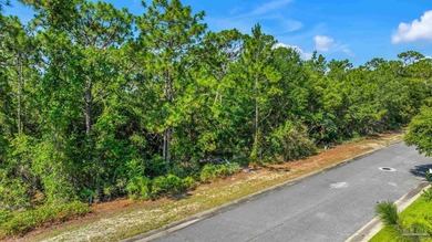 Build your dream home on Lot 54 in the highly sought-after - photo 9