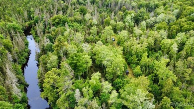 (private lake, pond, creek) Acreage For Sale in Lake Linden Michigan