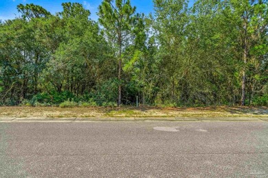 Build your dream home on Lot 55 in the highly sought-after - photo 4