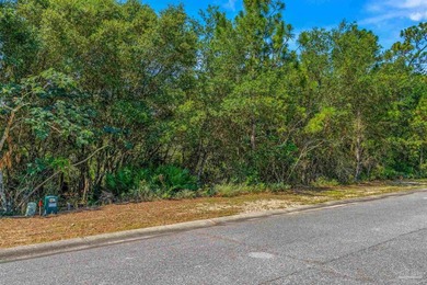 Build your dream home on Lot 55 in the highly sought-after - photo 5