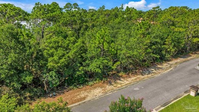 Build your dream home on Lot 55 in the highly sought-after - photo 6
