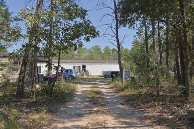 Freeport 5-acre parcel with 3BR/2BA mobile home (2000). Wooded - photo 3