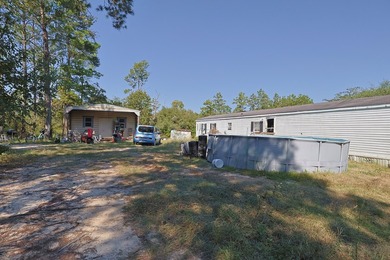 Freeport 5-acre parcel with 3BR/2BA mobile home (2000). Wooded - photo 4