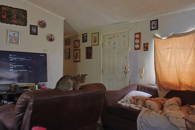 Freeport 5-acre parcel with 3BR/2BA mobile home (2000). Wooded - photo 7