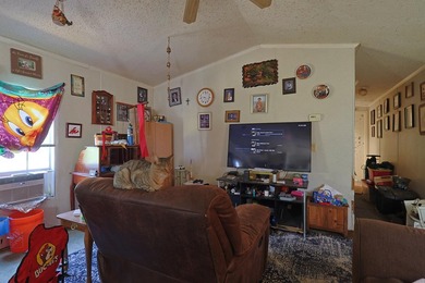 Freeport 5-acre parcel with 3BR/2BA mobile home (2000). Wooded - photo 9