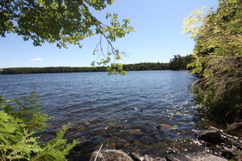 Lake Lot Off Market in Cathance Twp, Maine