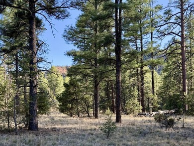 Ramah Reservoir Acreage For Sale in Ramah New Mexico