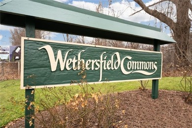 Welcome home to this beautifully maintained 2-bedroom, 2-bath - photo 34