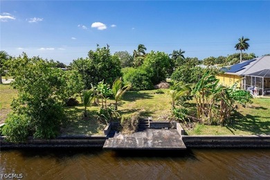 An outstanding opportunity to own a prime Gulf access homesite - photo 11