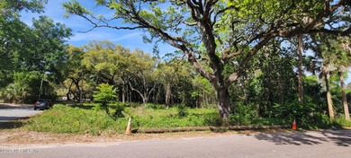 St. Johns River Commercial For Sale in Jacksonville Florida