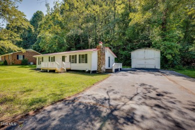 Lake Home For Sale in Mount Carmel, Tennessee