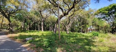 Very rare, 1 acre, zoned IW, (Industrial Waterfront). Two - photo 2
