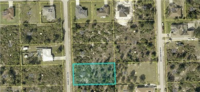 Lehigh Acres Area Lot For Sale in Lehigh Acres Florida