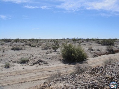 Located in Salton City. Views of both the Salton Sea and the - photo 4