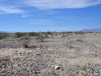 Located in Salton City. Views of both the Salton Sea and the - photo 5