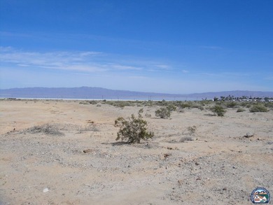Located in Salton City. Views of both the Salton Sea and the - photo 6