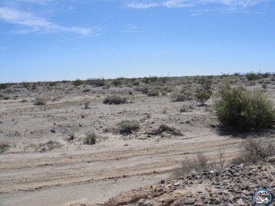 Located in Salton City. Views of both the Salton Sea and the - photo 7