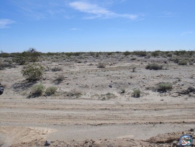 Located in Salton City. Views of both the Salton Sea and the - photo 8