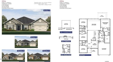 The 2906 floor plan is a spacious and well-designed single-story - photo 2