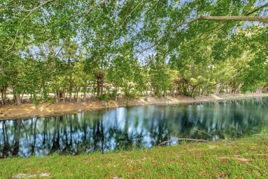 Comfort and convenience in this desirable 55+ Delray Villa Plat - photo 31