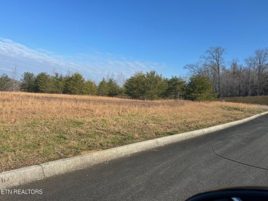 Lake Lot For Sale in Harriman, Tennessee