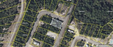 Desirable corner lot in Carrabelle Landing community with - photo 2