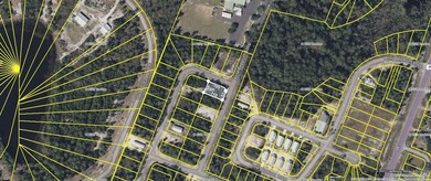 Desirable corner lot in Carrabelle Landing community with - photo 3