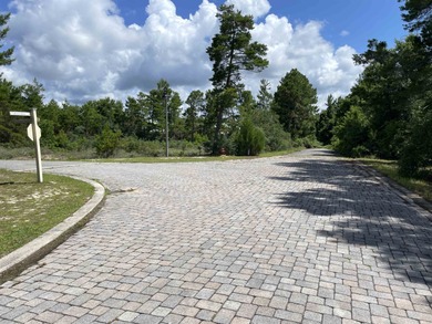Desirable corner lot in Carrabelle Landing community with - photo 4