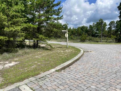 Desirable corner lot in Carrabelle Landing community with - photo 6