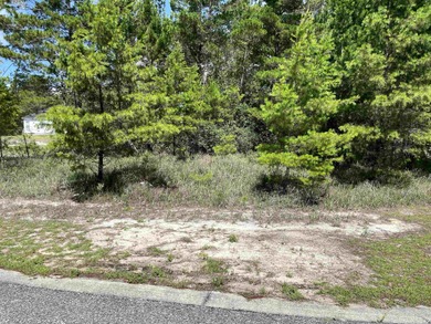 Desirable corner lot in Carrabelle Landing community with - photo 9