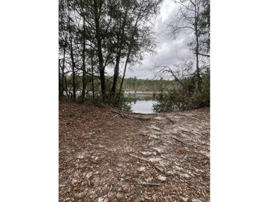 (private lake, pond, coastal) Acreage Sale Pending in Holt Florida