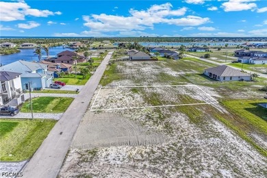 Located in the highly desirable NW Cape Coral area, this lot - photo 15