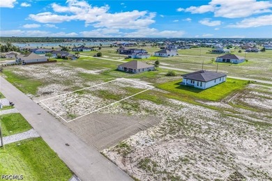Located in the highly desirable NW Cape Coral area, this lot - photo 18
