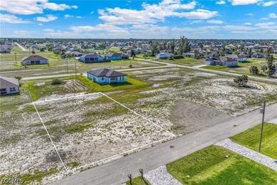 Located in the highly desirable NW Cape Coral area, this lot - photo 19