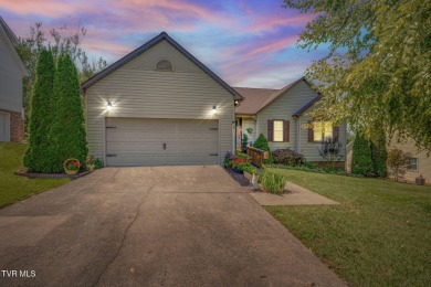 Lake Home For Sale in Johnson City, Tennessee