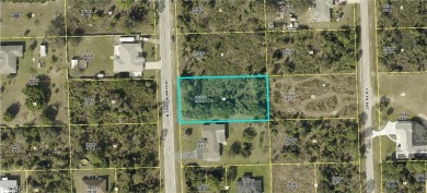 Lehigh Acres Area Lot For Sale in Lehigh Acres Florida