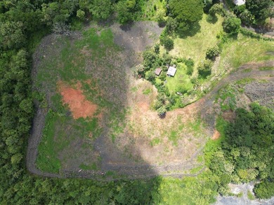 Commercial Land for Sale - 7.5 Hectares in Chilibre, Panama - photo 3