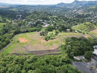 Commercial Land for Sale - 7.5 Hectares in Chilibre, Panama - photo 4