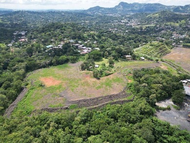Commercial Land for Sale - 7.5 Hectares in Chilibre, Panama - photo 5