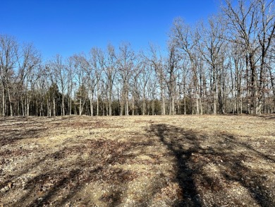  Unveil the extraordinary with this 3-acre vacant land!! - Lake Acreage For Sale in Protem, Arkansas