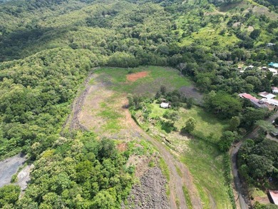 Commercial Land for Sale - 7.5 Hectares in Chilibre, Panama - photo 7