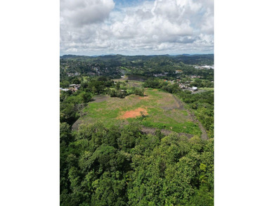 Commercial Land for Sale - 7.5 Hectares in Chilibre, Panama - photo 8