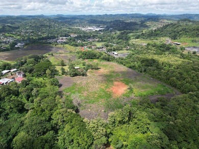 Commercial Land for Sale - 7.5 Hectares in Chilibre, Panama - photo 10