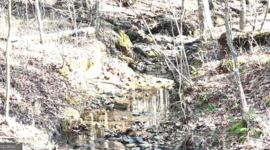 Large private estate lots surrounded by woods & creeks in a park - photo 8
