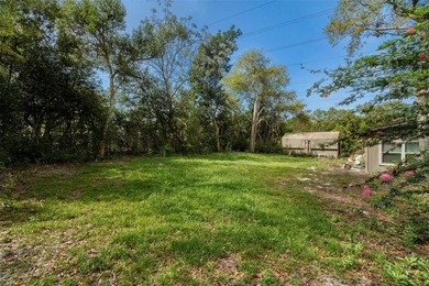 Opportunities like this don't come around often in Palm Harbor. - photo 48